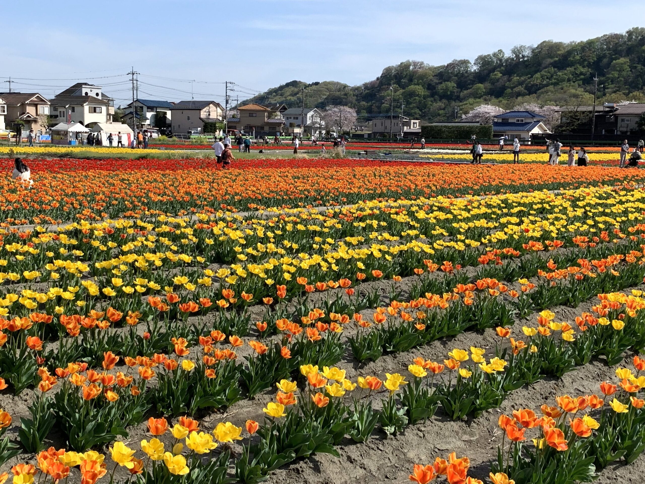 スライド